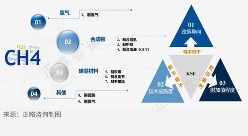 天然氣深加工行業(yè)細(xì)分領(lǐng)域發(fā)展前景淺析及旅游開(kāi)發(fā)項(xiàng)目策劃咨詢(xún)