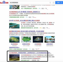 深圳富海360總部旅游開(kāi)發(fā)項(xiàng)目策劃咨詢(xún) 搜索引擎與網(wǎng)絡(luò)營(yíng)銷(xiāo)案例解析